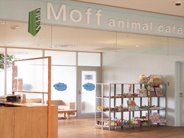 Moff animal cafe(小田原ダイナシティ店)