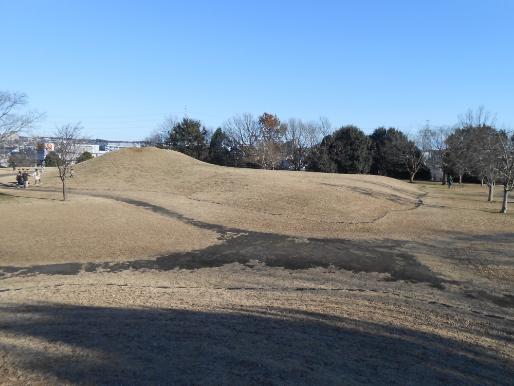 ちはら台公園 千葉のお出かけ情報 タビワザ