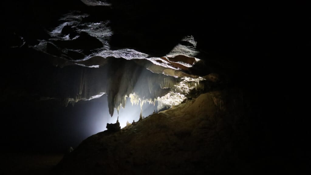 東京から日帰り可、200mを超える洞窟を冒険できる穴場スポット